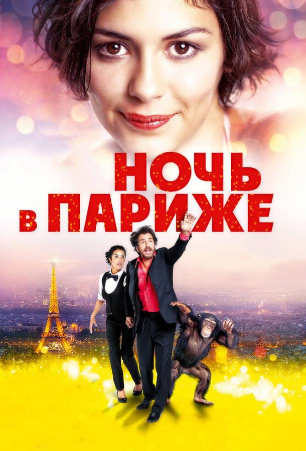 Ночь в Париже (2016)